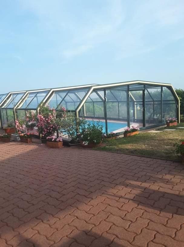 Chambre D'Hotes De La Tulipe Mittelbergheim Dış mekan fotoğraf